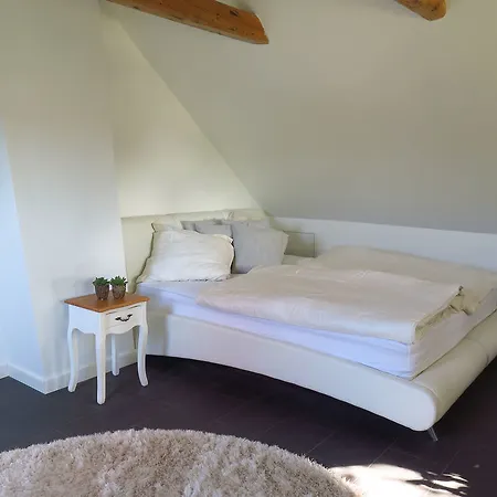 Guldborgrooms * Guldborg