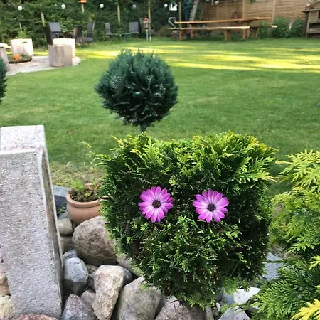 Guldborgrooms Гостевой дом