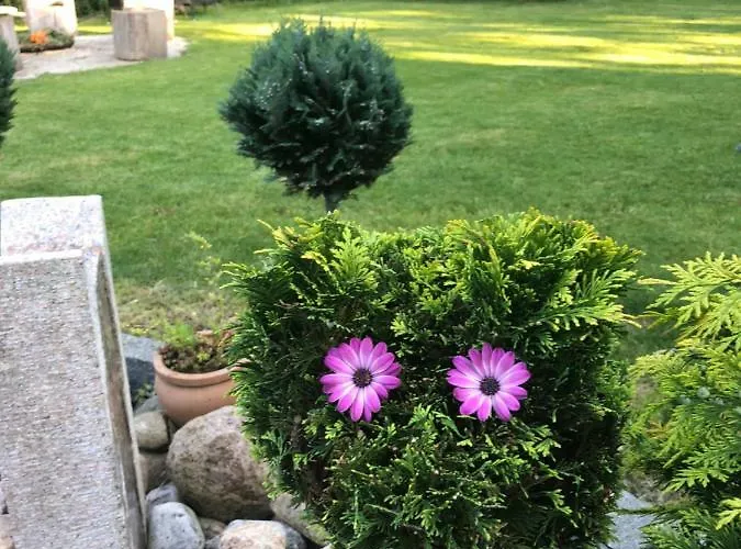 Guldborgrooms Maison d'hôtes